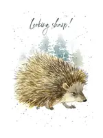 Bella Flor *Looking Sharp Porcupine Birthday Card-Bella Flor