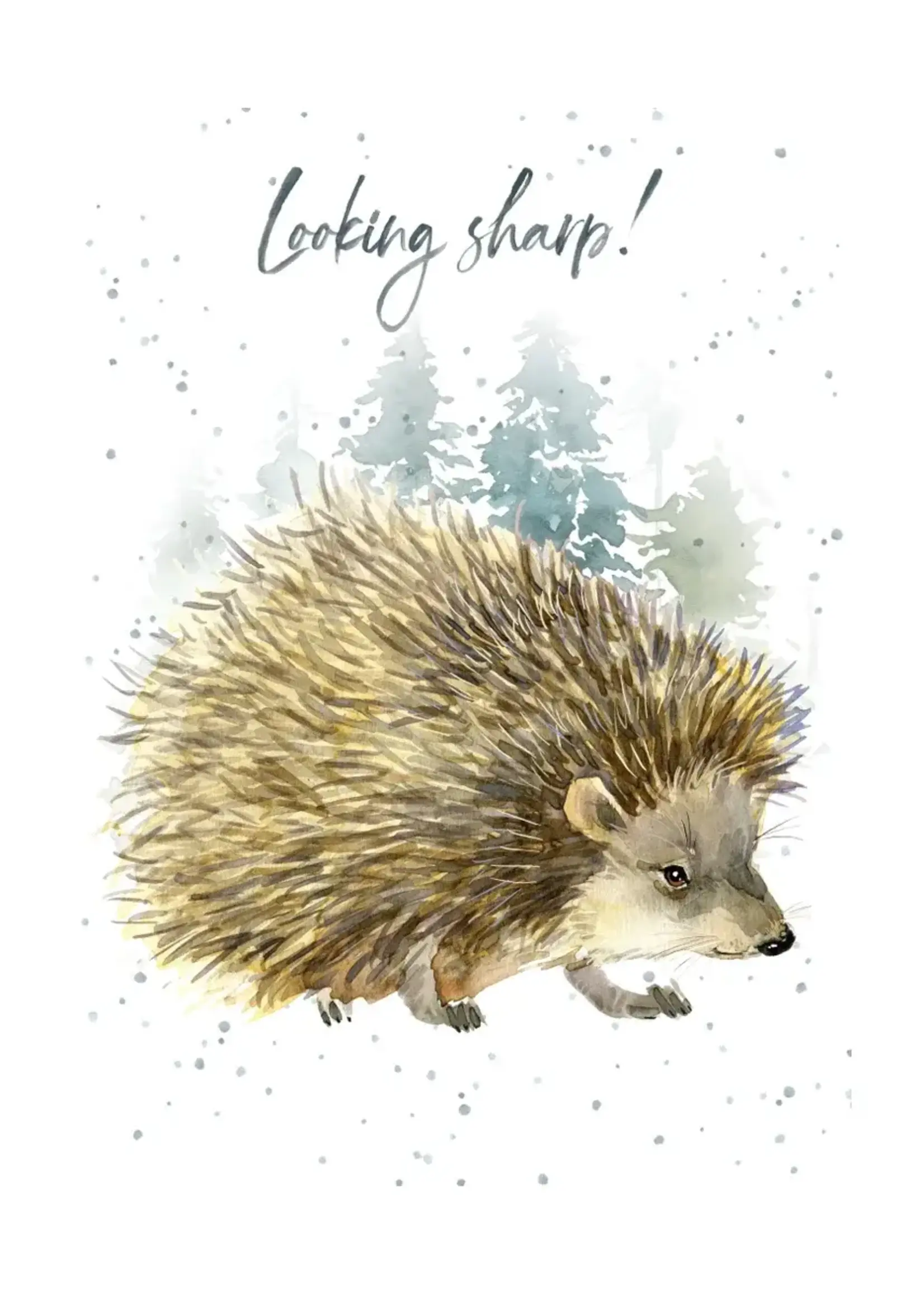 Bella Flor *Looking Sharp Porcupine Birthday Card-Bella Flor