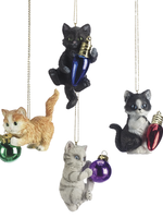 Ganz *Asstd Kitten Playing Ornament-Ganz*