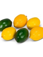 Abbott *6pc Lemon/Limes-Abbott