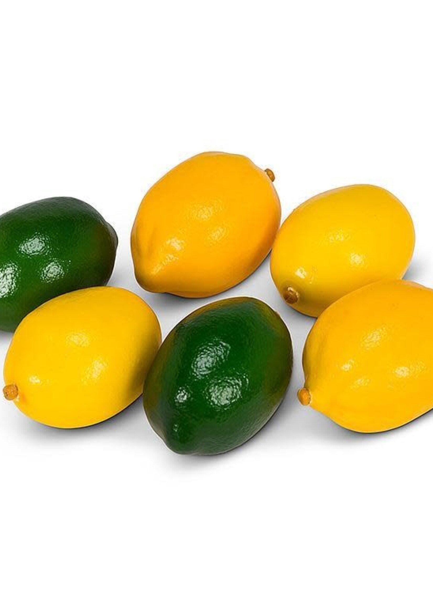 Abbott *6pc Lemon/Limes-Abbott