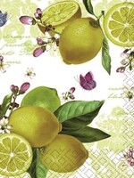 Old Country Design *20pk Lemon Tree Summertime Lunch Napkin-OCD