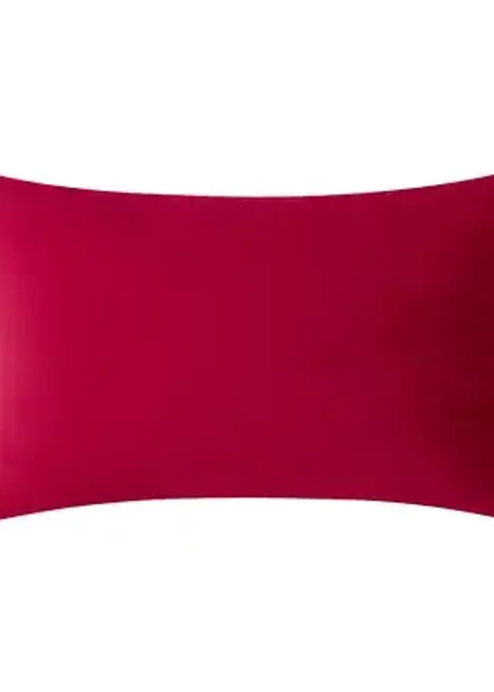 Livia Home *12x20" Magenta Velvet Cushion-Livia