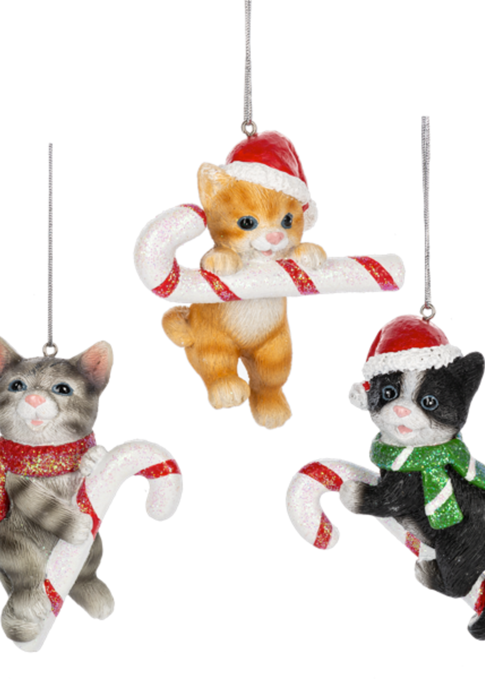 Ganz *Asstd Cat w/Candy Cane Ornaments-Ganz