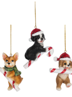 Ganz *Asstd Dog w/Candy Cane Ornaments-Ganz