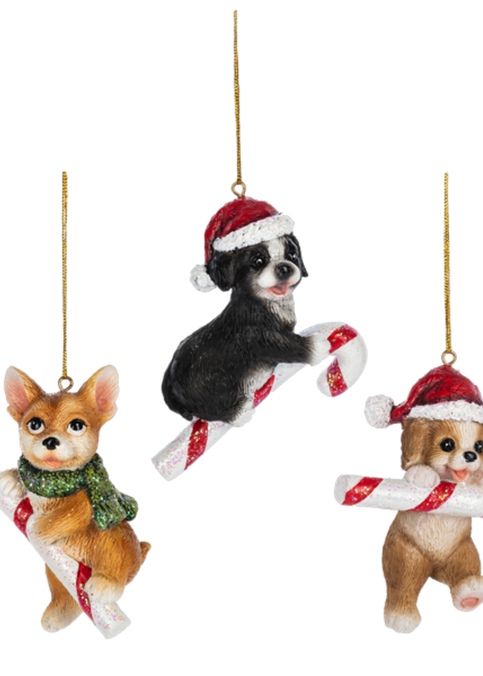 Ganz *Asstd Dog w/Candy Cane Ornaments-Ganz