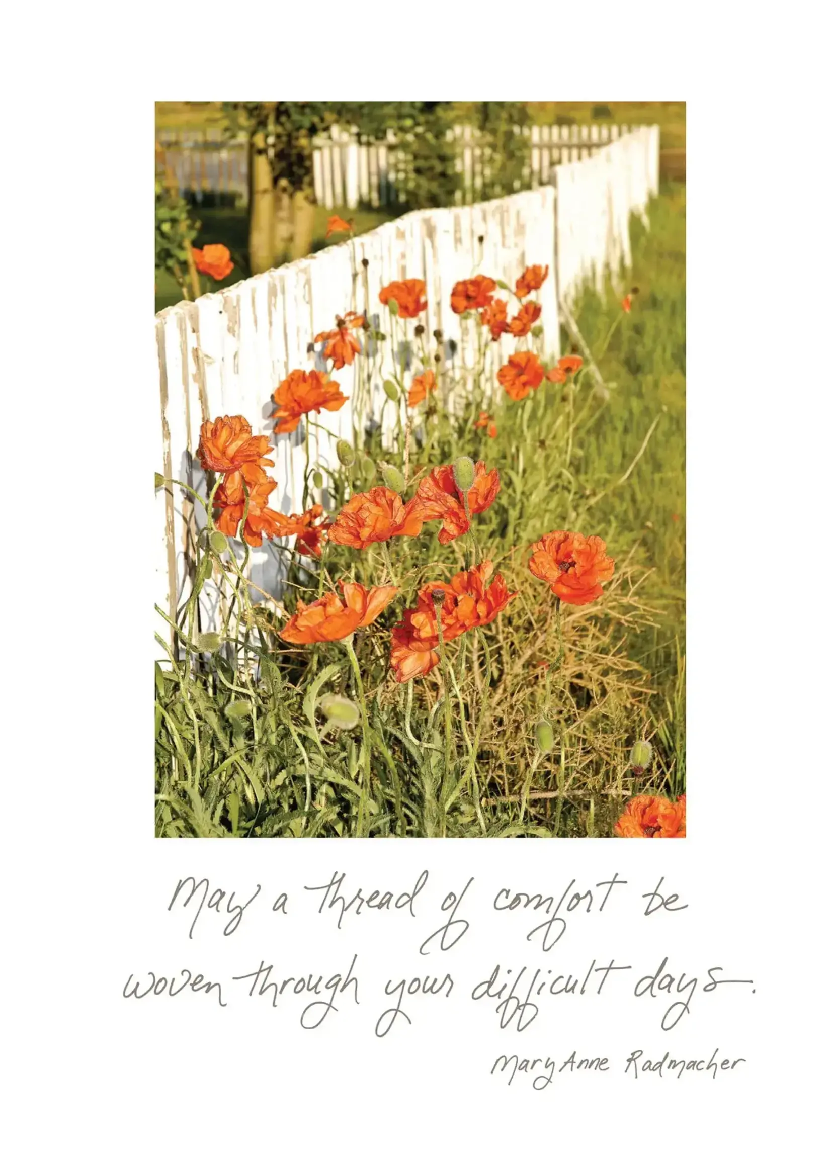 Bella Flor *Flowers and Fences Thinking of You Card-Bella Flor