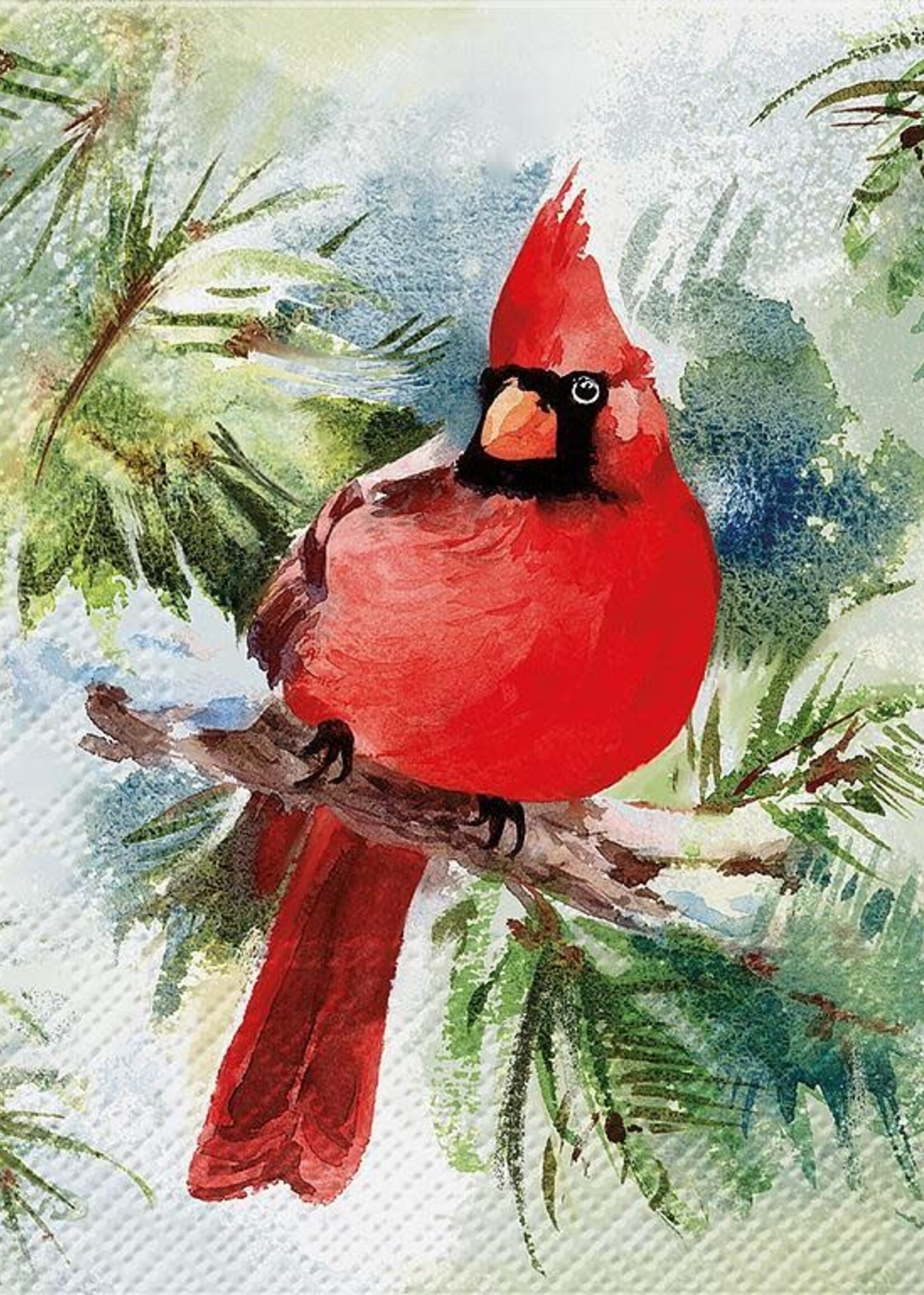 Abbott *20pk Cardinal Napkins-Abbott