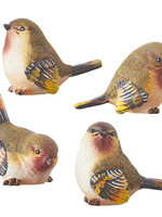 Raz *2.5" Bird-Design