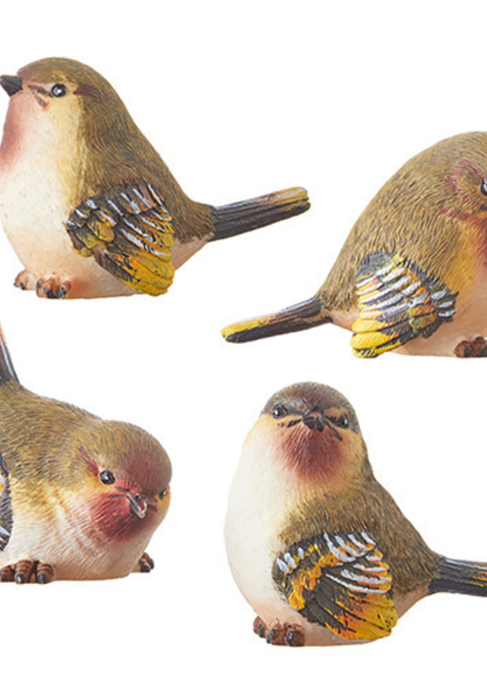 Raz *2.5" Bird-Design