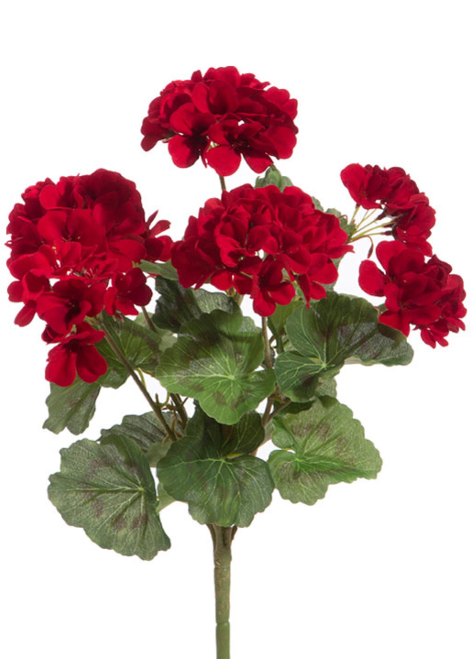 Raz *27" Red Geranium Bush-Design