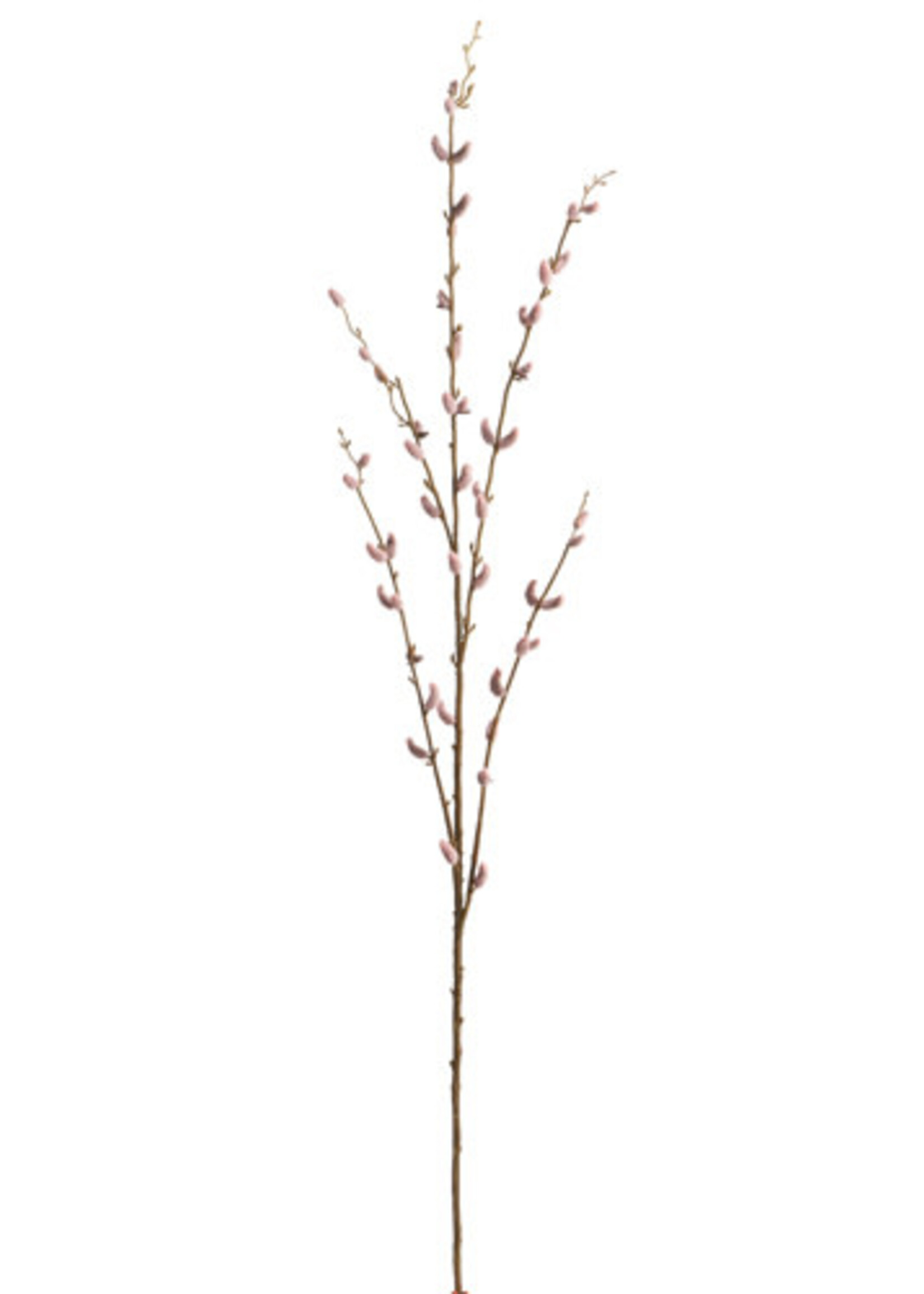 Raz *45.5" Pussy Willow Branch-Design