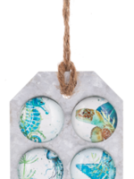 Ganz *Asstd Sea Life Magnets-Ganz