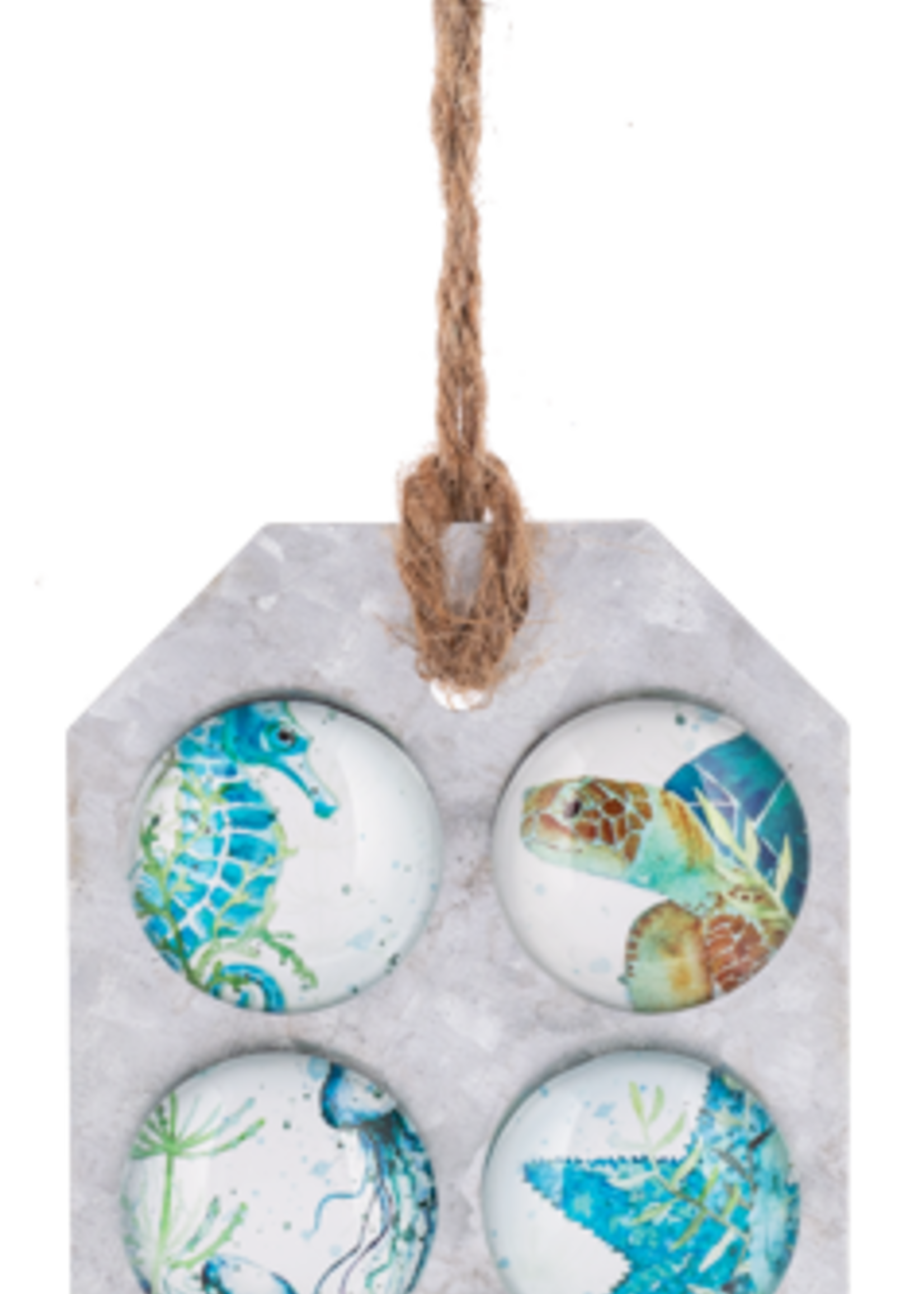 Ganz *Asstd Sea Life Magnets-Ganz