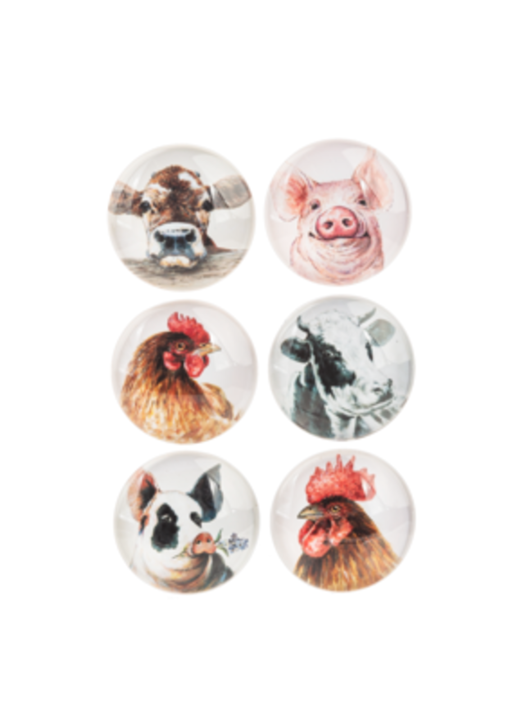Ganz *Asstd Farm Animal Magnets-Ganz