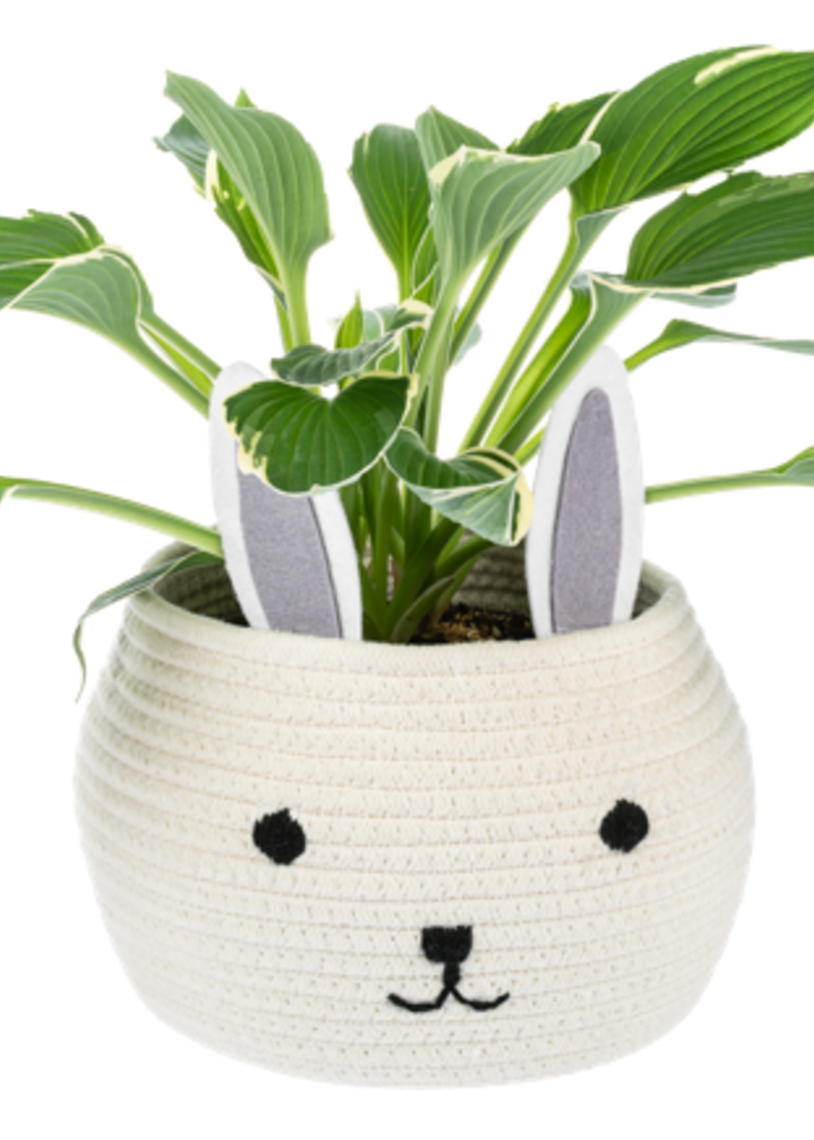 Ganz *sm Bunny Basket-Ganz