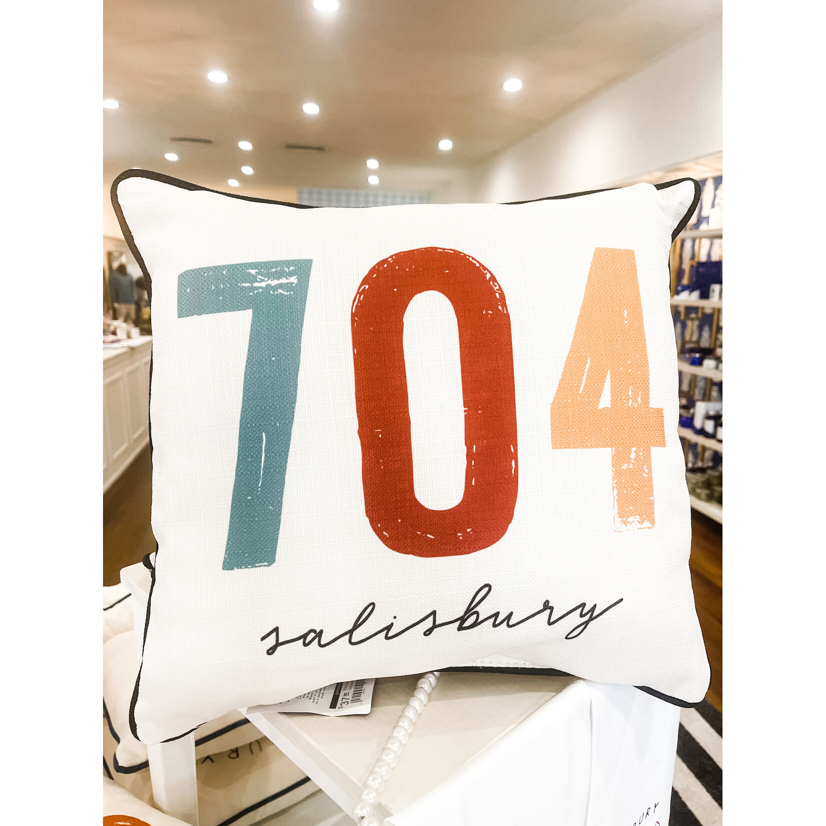 704 Salisbury Square Pillow