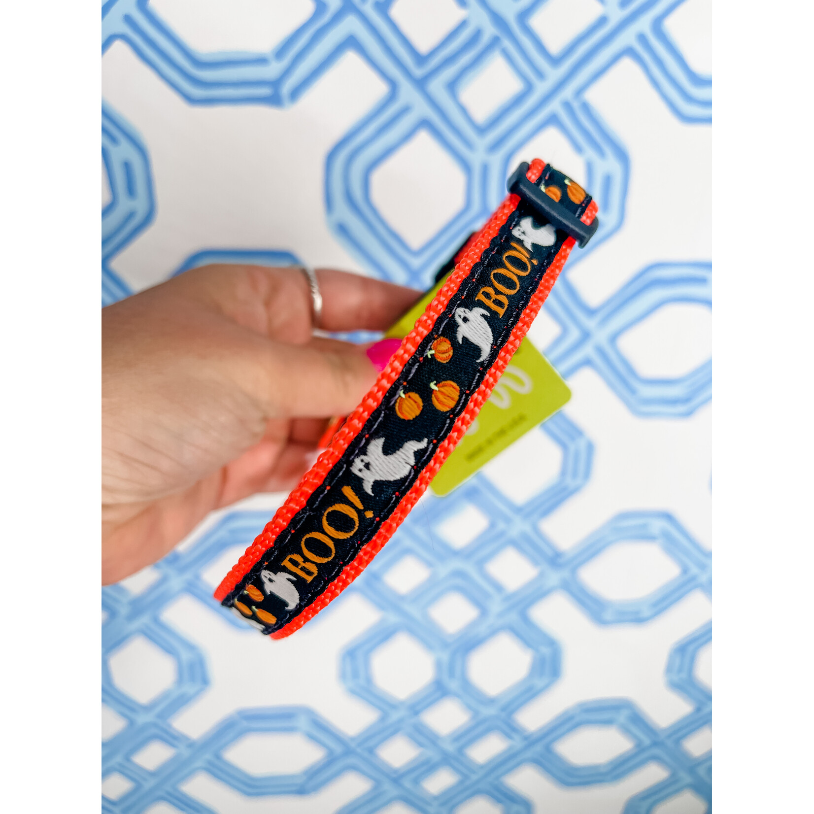 up country Boo! Dog Collar