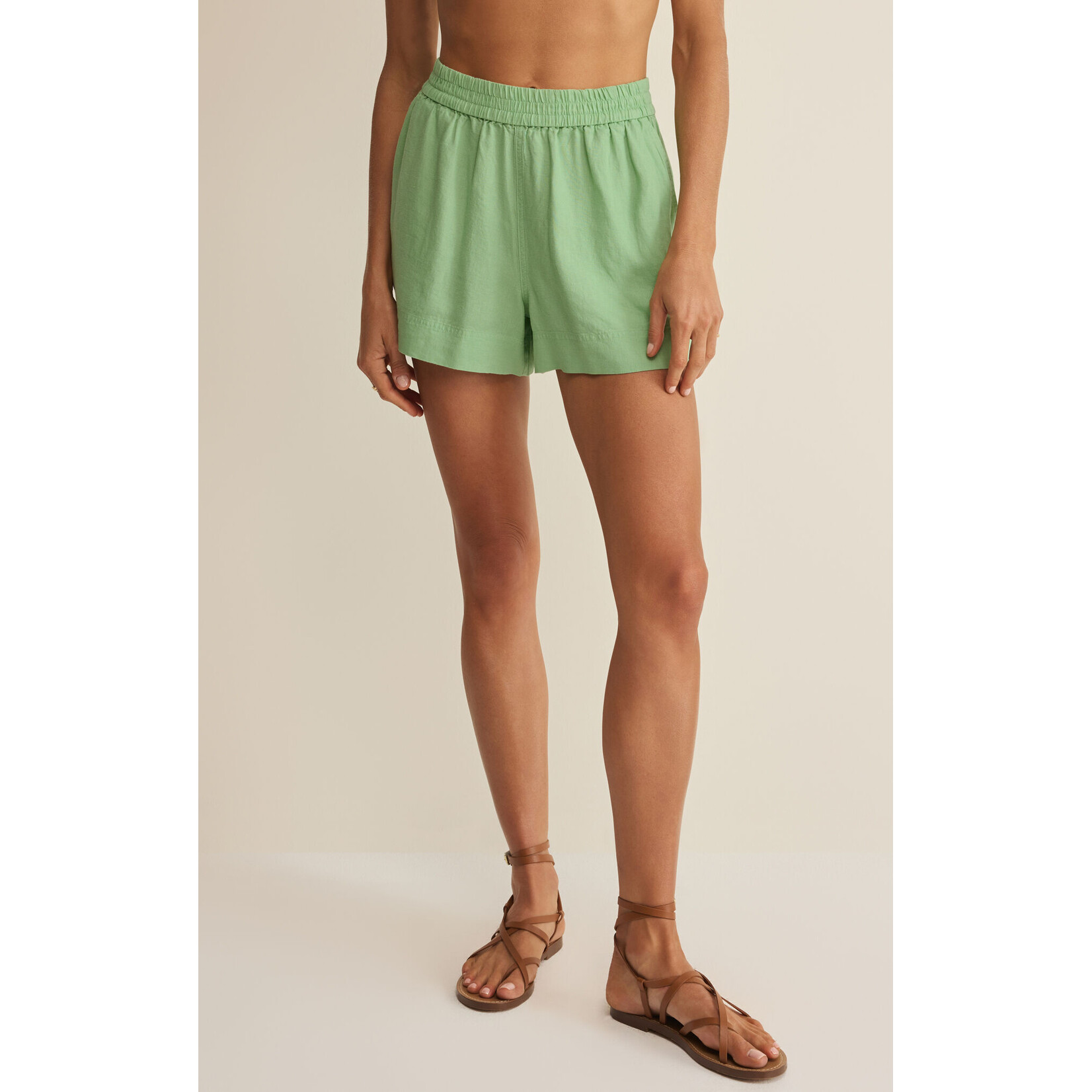 Z Supply Z Supply Expedition Short - Pistachio