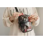 brixley Brixley Black Clear Tint Crossbody
