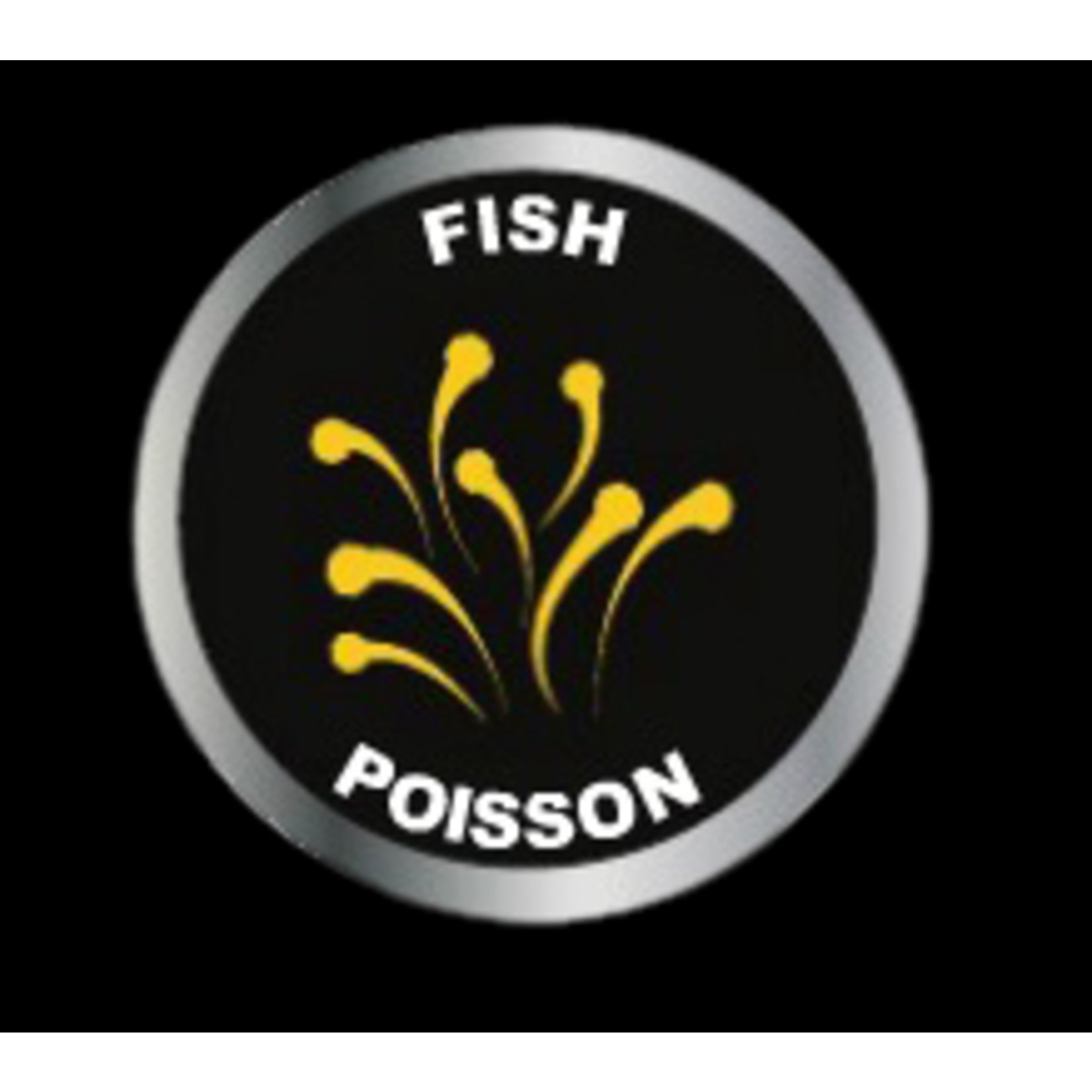 Red Flying Fishes