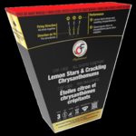 CSF - 1302 : Lemon Stars and Crackling Chrysanthemums