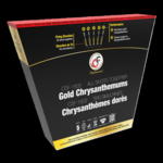 CSF - 1502 :  Gold Chrysanthemums