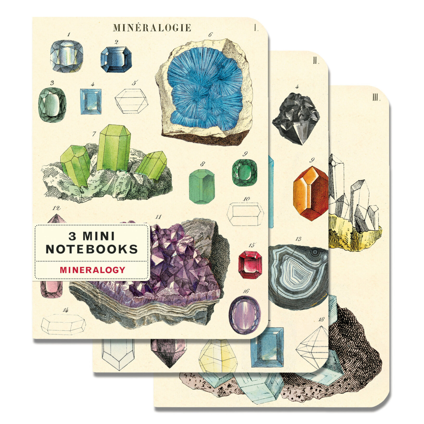 Cavallini Mini Notebook Set (3)