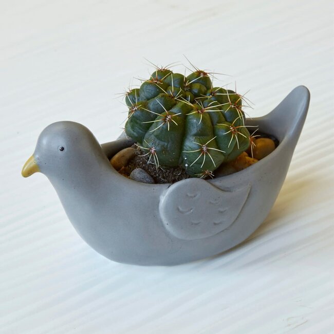 Animal Planter