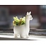 Animal Planter
