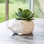 Animal Planter