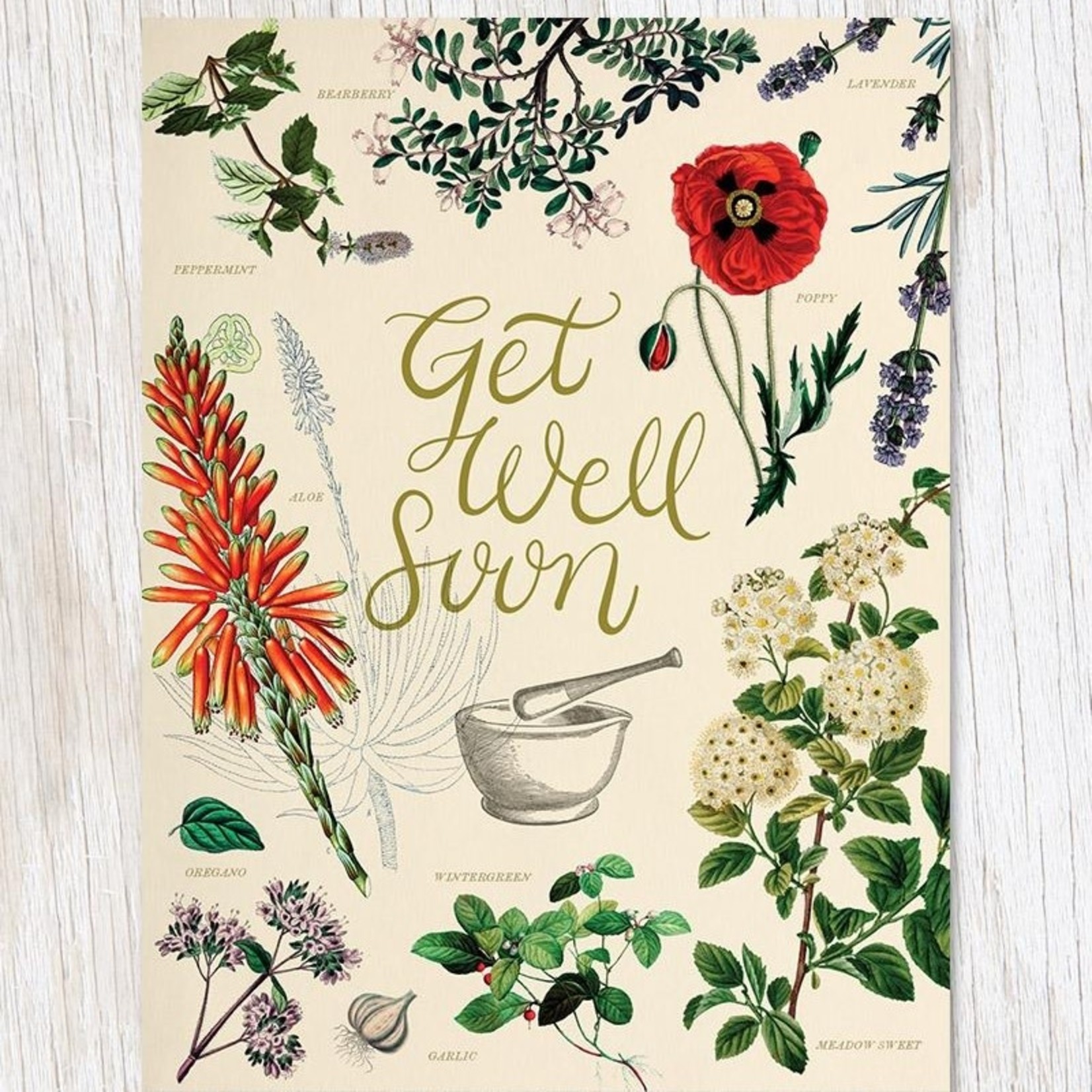 Get Well: Medicinal Botany Card
