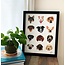 Ruff Sketch Designs Ruff Sketch Dog Grid Print