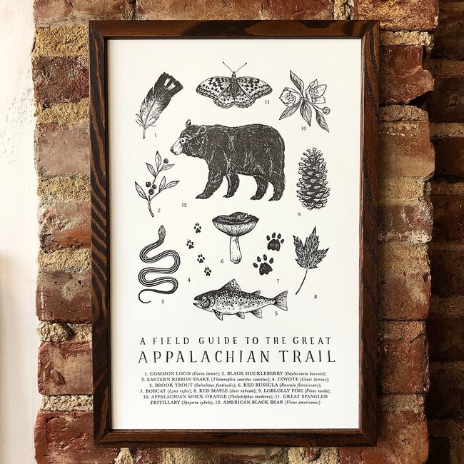 Wild Wander Print