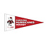 Paul Friedrich Carolina Hurricanes Felt Pennant - Friedrich Art