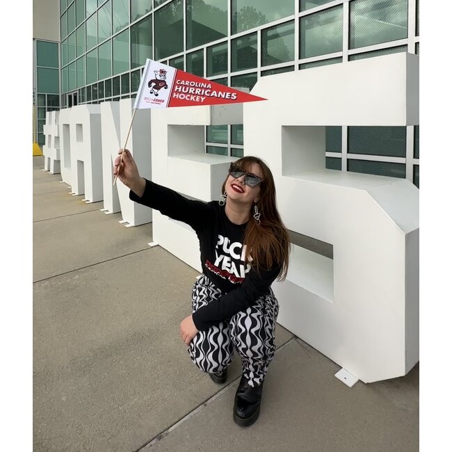 Paul Friedrich Carolina Hurricanes Felt Pennant - Friedrich Art