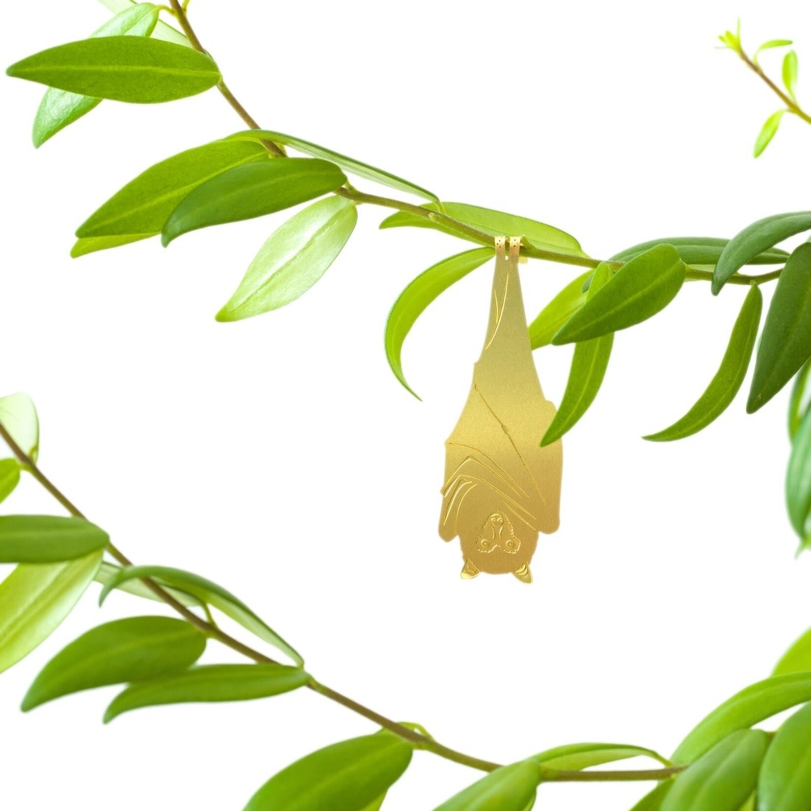 Plant Animal Fruit Bat