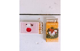 Emily Petrilla Illustrations