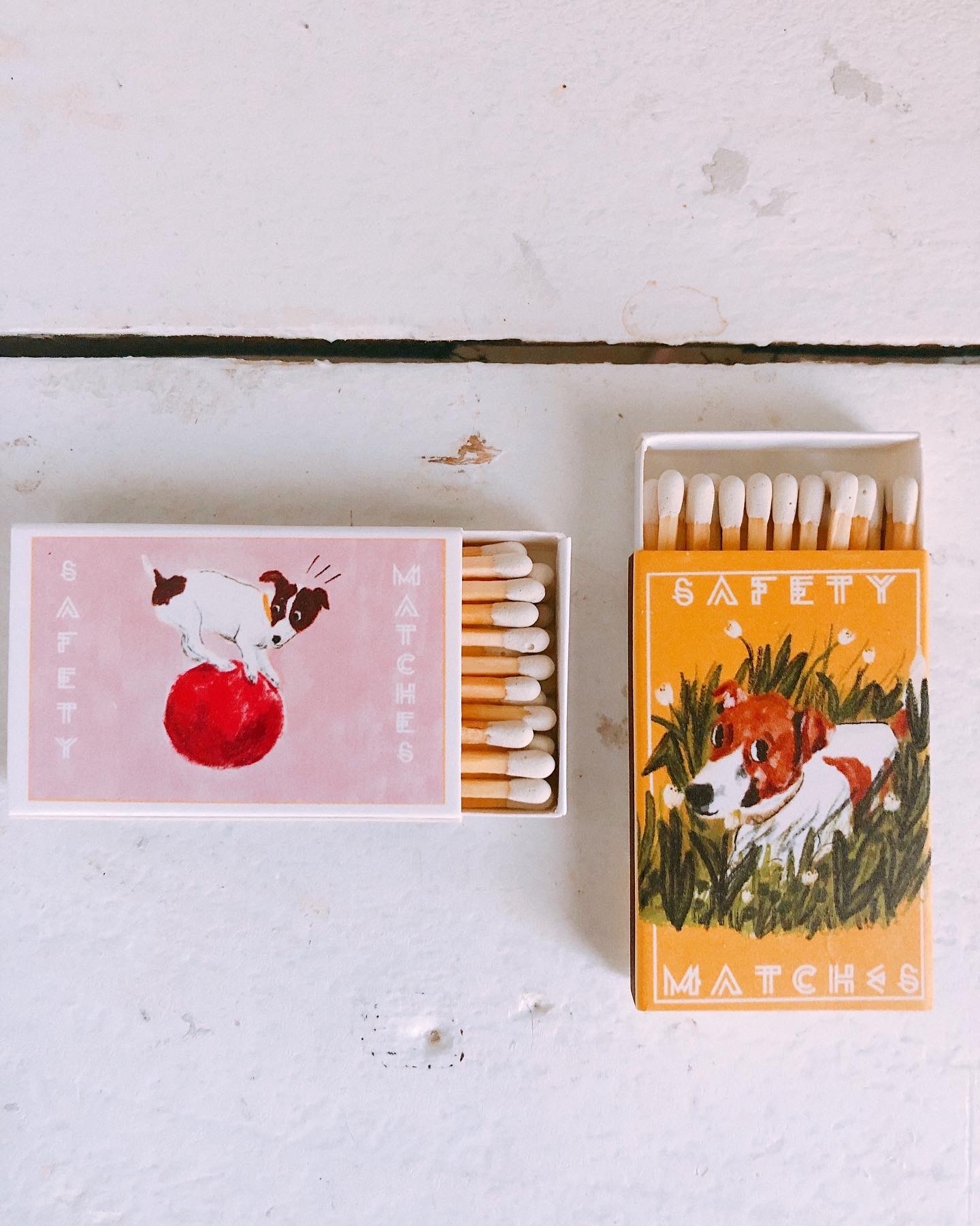 Emily Petrilla Illustrations
