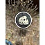 Mutually Assured Construction Love You to Death Skull Sticker