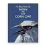 Corn Chip Card
