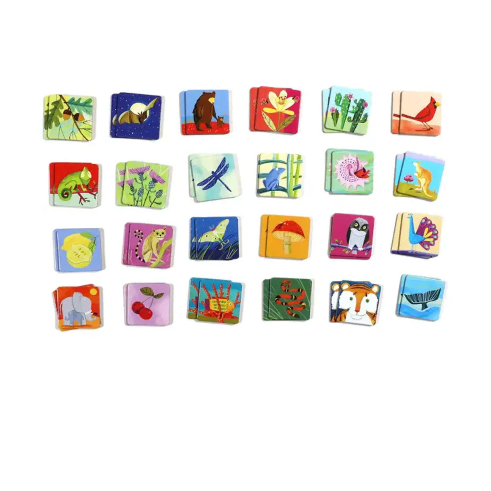 Memory + Matching Game Life on Earth