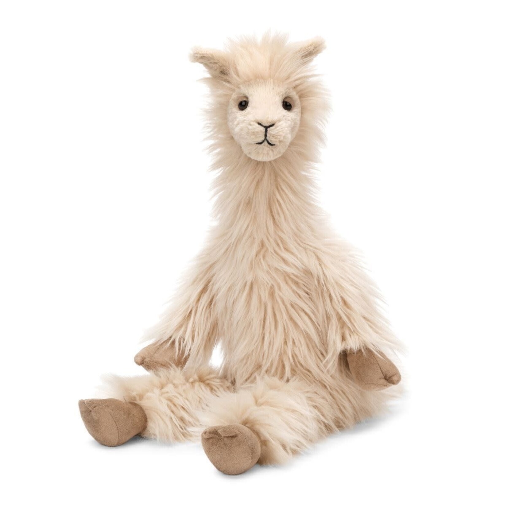 Luis Llama