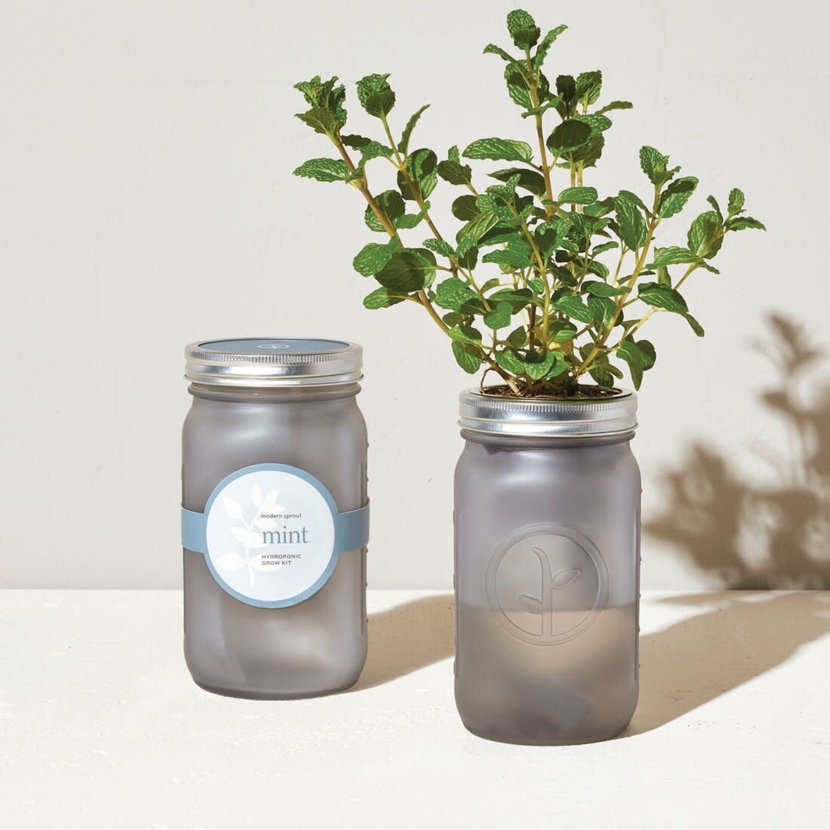 Garden Jar Mint