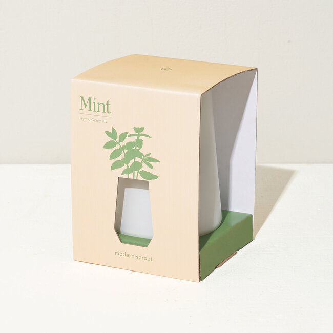 Tapered Tumbler Mint