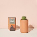 Terracotta Grow Kit Cactus
