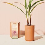 Terracotta Grow Kit Palm