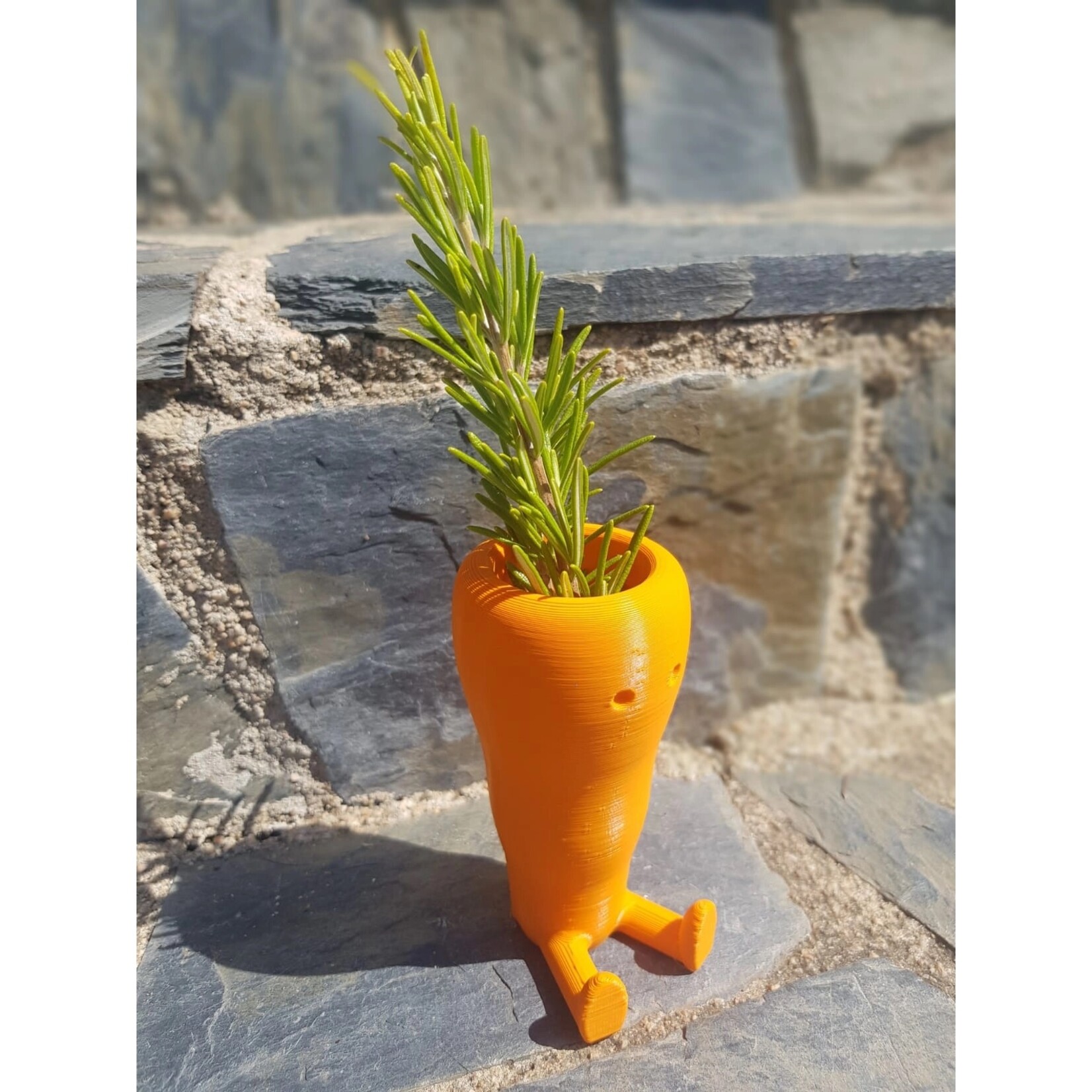 Carrot Pot