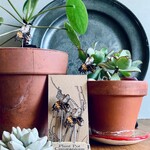 Plant Pot Companion Bee