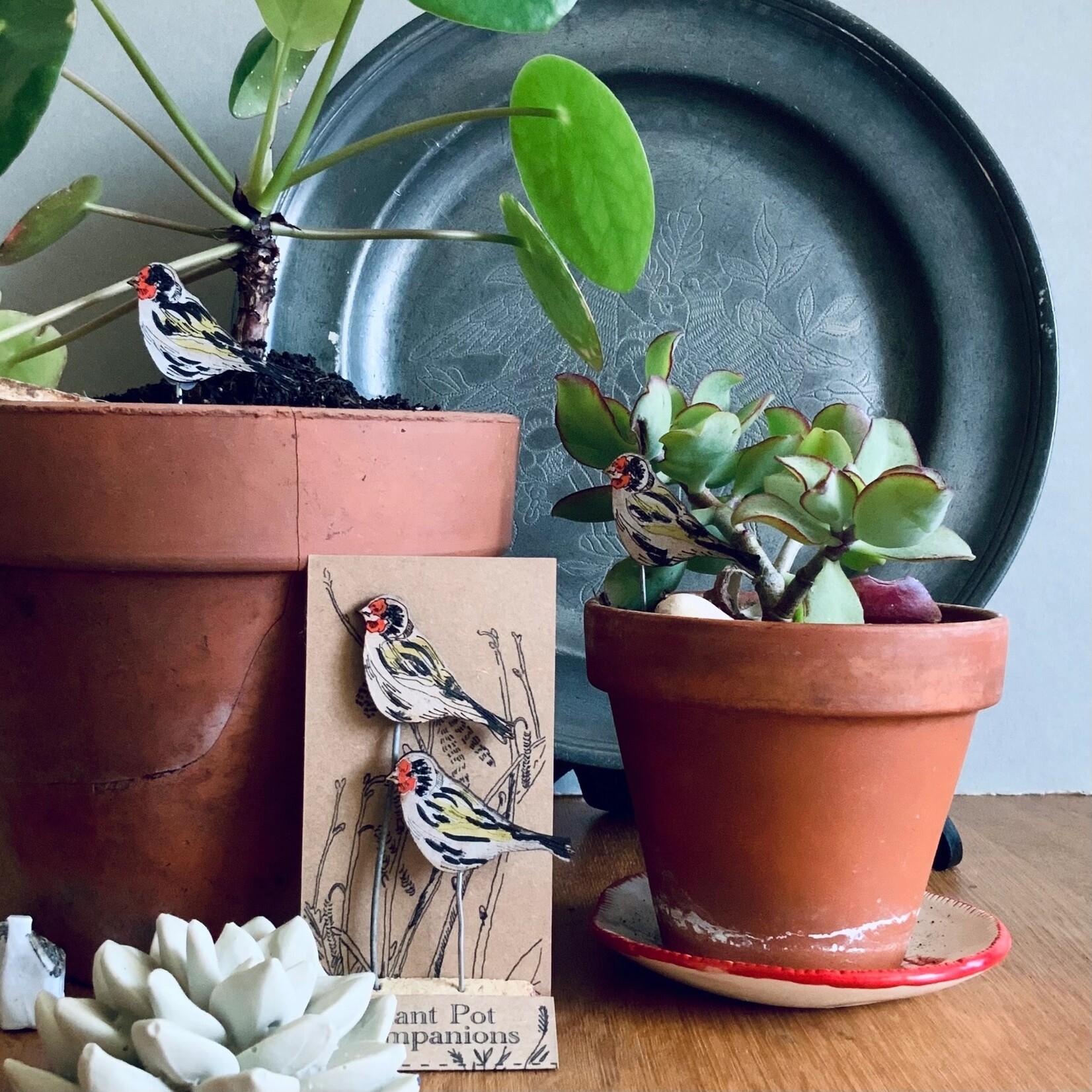 Plant Pot Companion Goldfinch